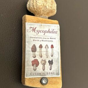 Upcycled Mycophilia Pin